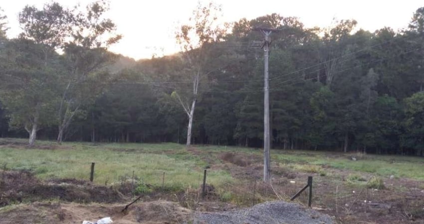 Chácara / sítio com 4 quartos à venda no Nova Sardenha (Distrito), Farroupilha 