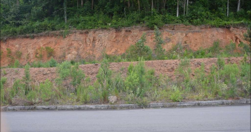 Terreno à venda no São Luiz, Caxias do Sul 