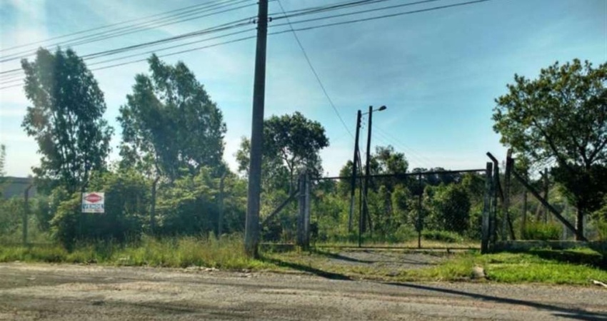 Barracão / Galpão / Depósito à venda na Linha Julieta, Farroupilha 