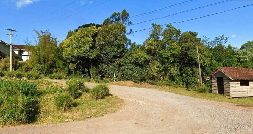 Terreno à venda na Zona Rural, Farroupilha 