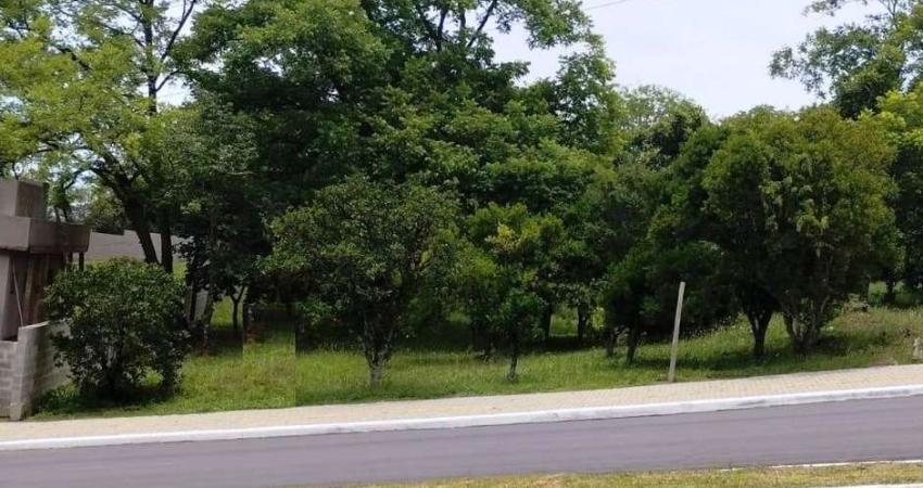 Terreno à venda no Vicentina, Farroupilha 