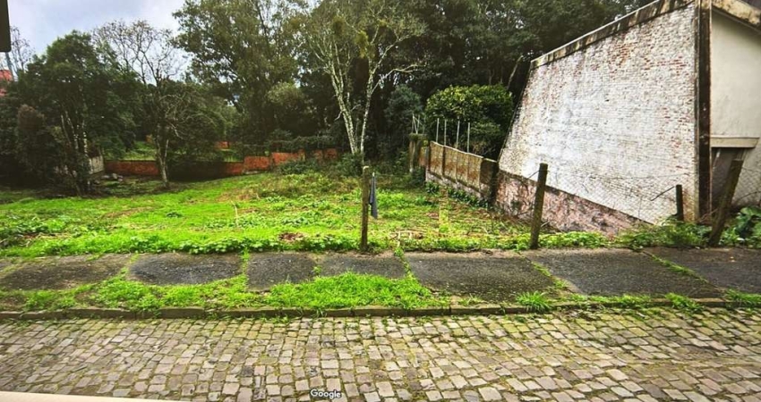 Terreno à venda no Cinqüentenário, Caxias do Sul 