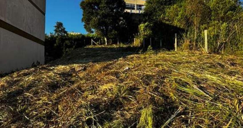 Terreno à venda na Nossa Senhora da Saúde, Caxias do Sul 