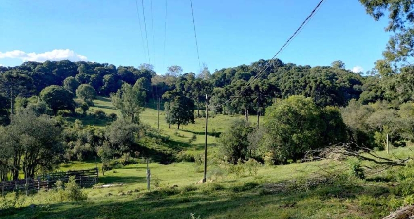 Chácara / sítio à venda na Zona Rural, Farroupilha 