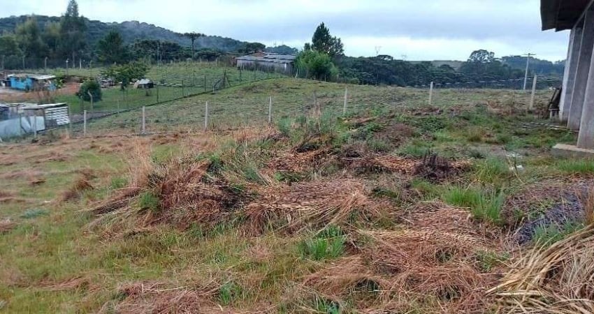 Chácara / sítio à venda na Zona Rural, Caxias do Sul 