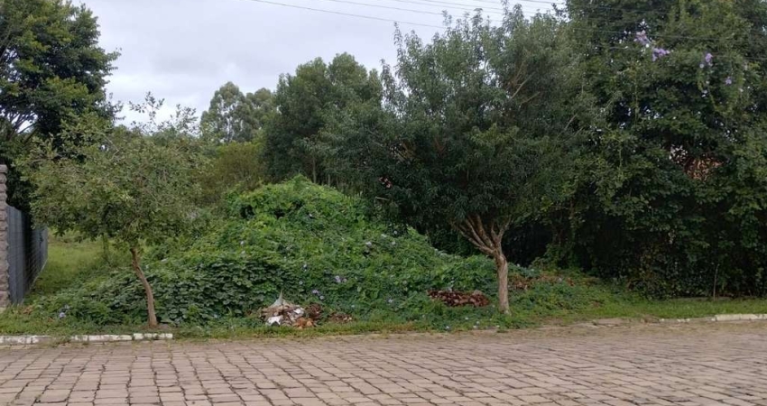 Terreno à venda na Bela Vista, Farroupilha 