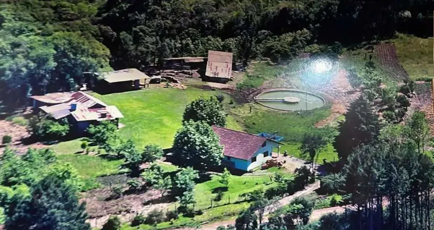 Chácara / sítio à venda no Samuara, Caxias do Sul 