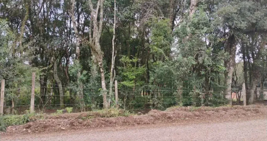 Terreno à venda na Nossa Senhora do Rosário, Caxias do Sul 