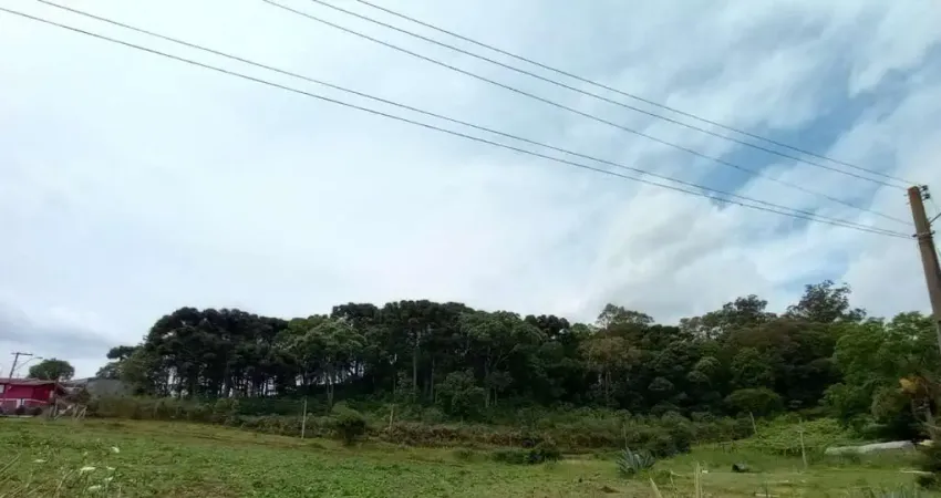 Terreno à venda no Pedancino, Caxias do Sul 