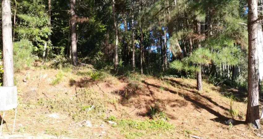 Terreno à venda na Colina Sorriso, Caxias do Sul 
