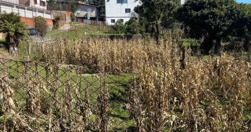 Terreno à venda no Sagrada Família, Caxias do Sul 