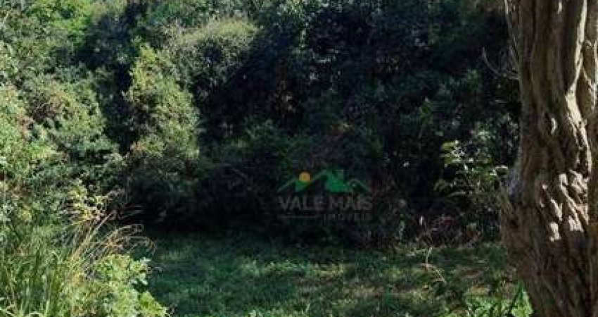 Terreno à venda, 18000 m² por R$ 1.800.000 - Cunha - Cunha/SP