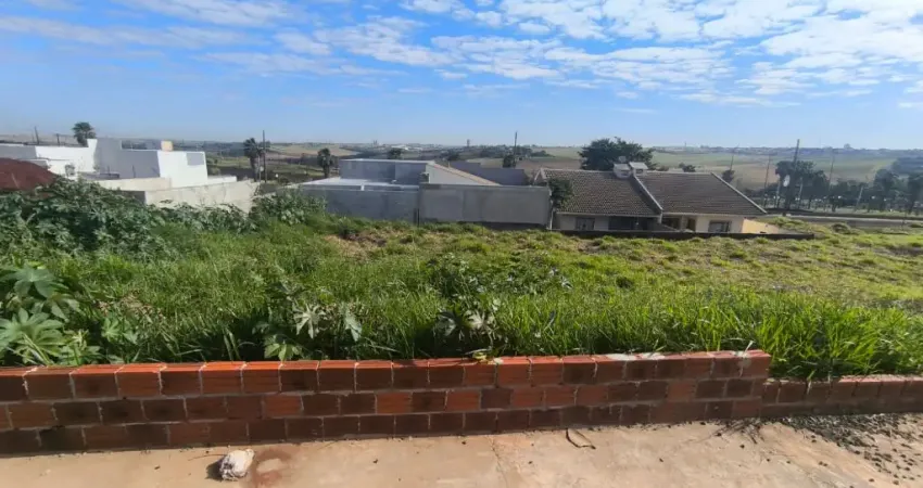 Terreno à venda na Rua 9304, Ecovalley Ecologic City, Sarandi