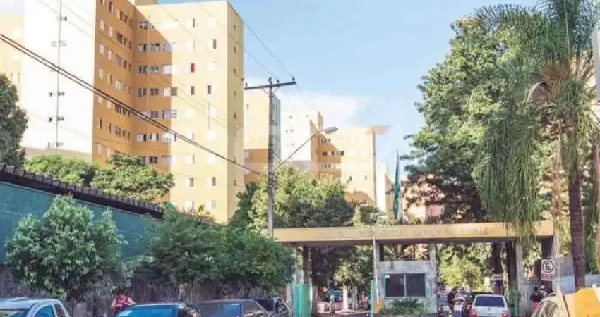 Apartamento para Alugar no Jardim Paulista, Ribeirão Preto