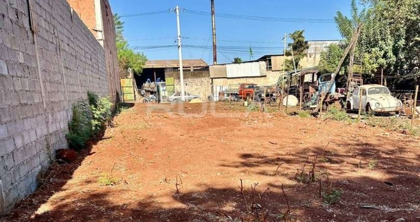 Terreno Comercial à Venda e Locação na Vila Elisa, Ribeirão Preto