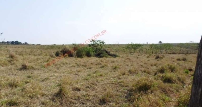Fazenda à venda no Santo Antônio, Cosmópolis 