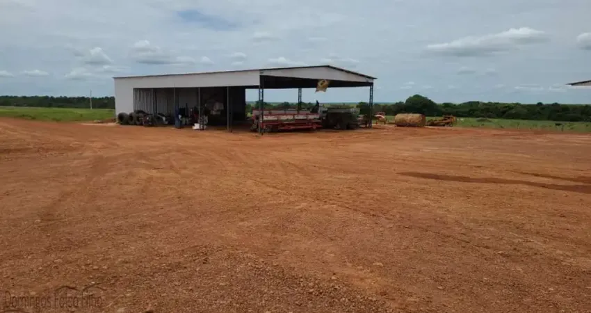 Fazenda à venda na Zona Rural, Pedro Afonso 