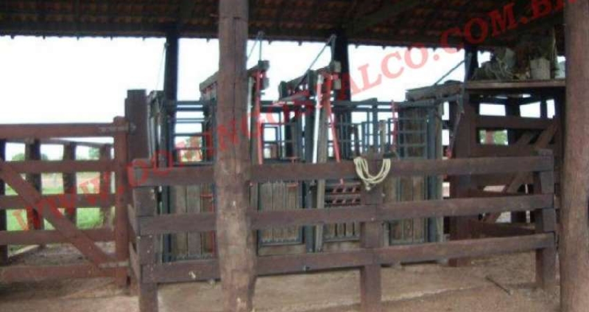Fazenda à venda na Zona Rural, São Félix do Araguaia 
