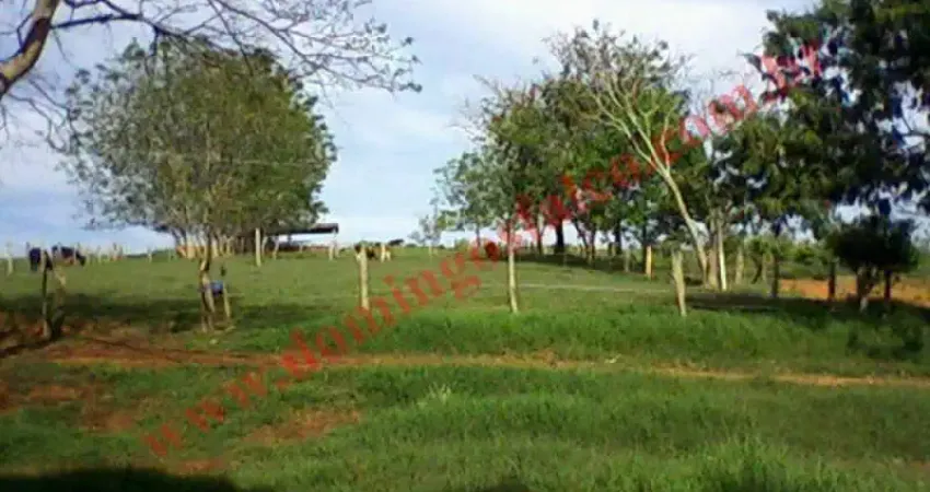 Fazenda à venda na Zona Rural, Minduri 