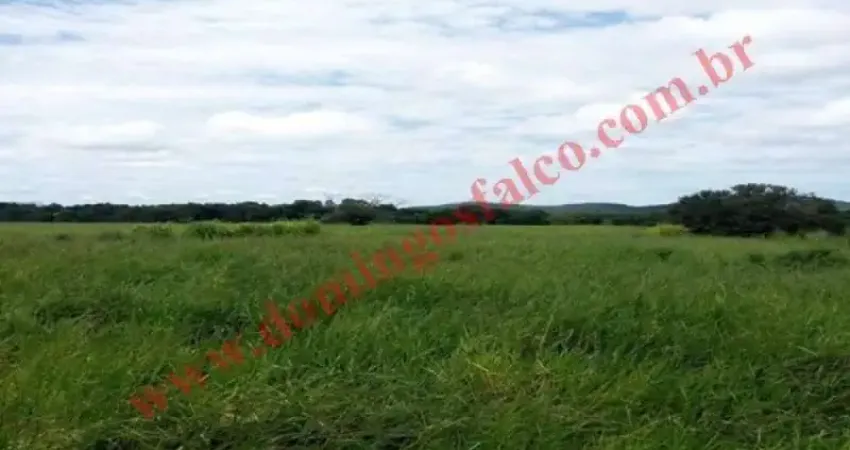 Fazenda à venda na Zona Rural, Santa Terezinha 