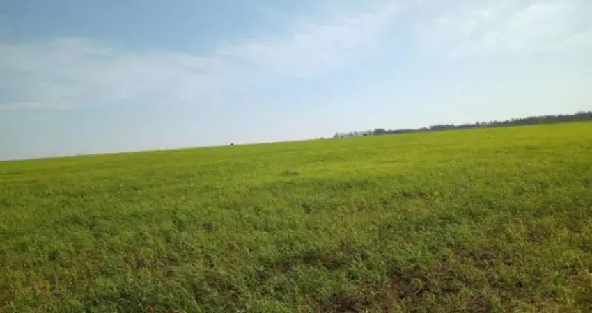 Fazenda à venda na Zona Rural, Rosana 