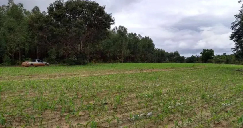 Fazenda à venda na Zona Rural, São Gonçalo do Pará 