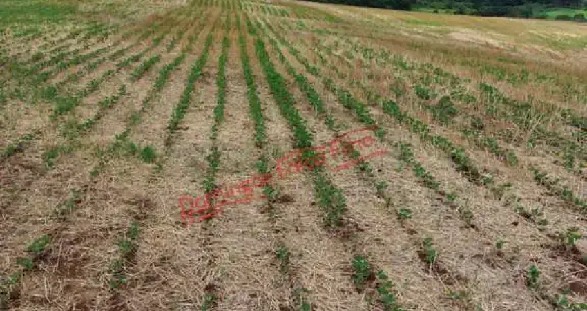 Fazenda a venda em Goioxim/PR Venda ZonaRural Goioxim/PR