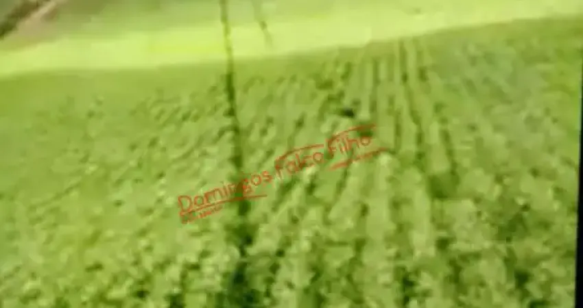 Fazenda à venda no Zona Rural, Ivaí