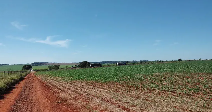 Fazenda de 15 alqueires em lavoura ou cana em Morrinhos, GO.