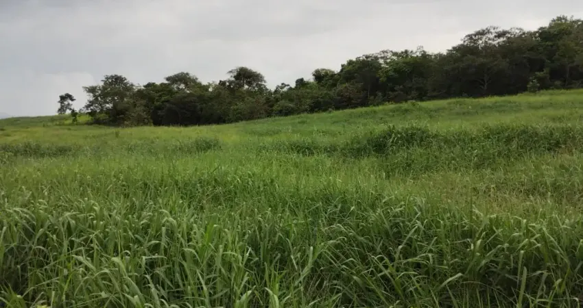 Fazenda de pecuária para leite e cria com 21 alqueires em Goiás