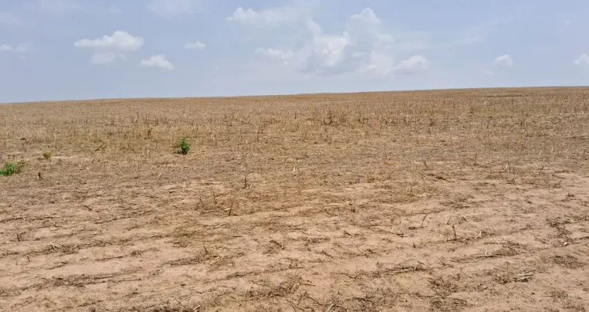 Fazenda com 2 salas à venda na Avenida B, 1, Zona Rural, Caldas Novas