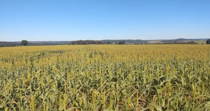 Fazenda com 1 sala à venda na Área Rural, 1, Área Rural de Itumbiara, Itumbiara