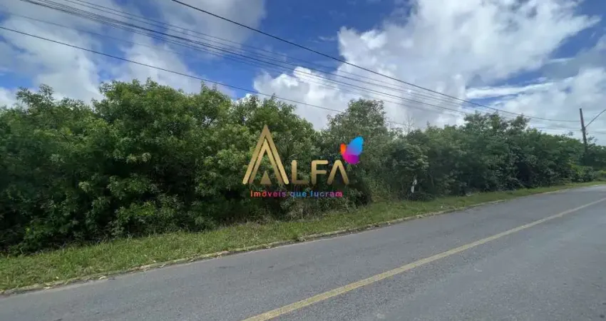 Terreno à venda, 8100 m² por R$ 8.500.000,00 - Centro - Penha/SC