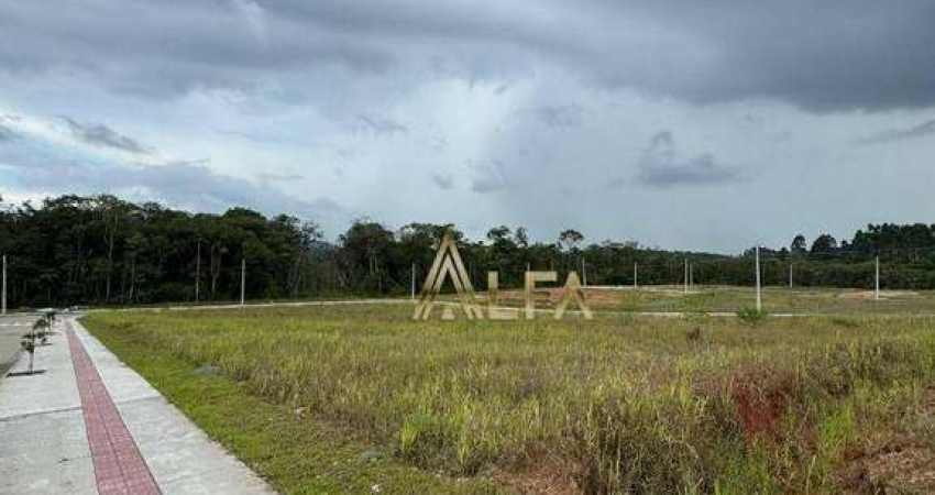 Terreno à venda, 300 m² por R$ 230.000 - Balneário Piçarras/SC