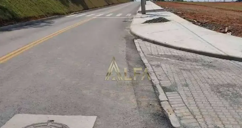 Terreno à venda, 300 m² por R$ 180.000 - Morro Alto - Balneário Piçarras/SC