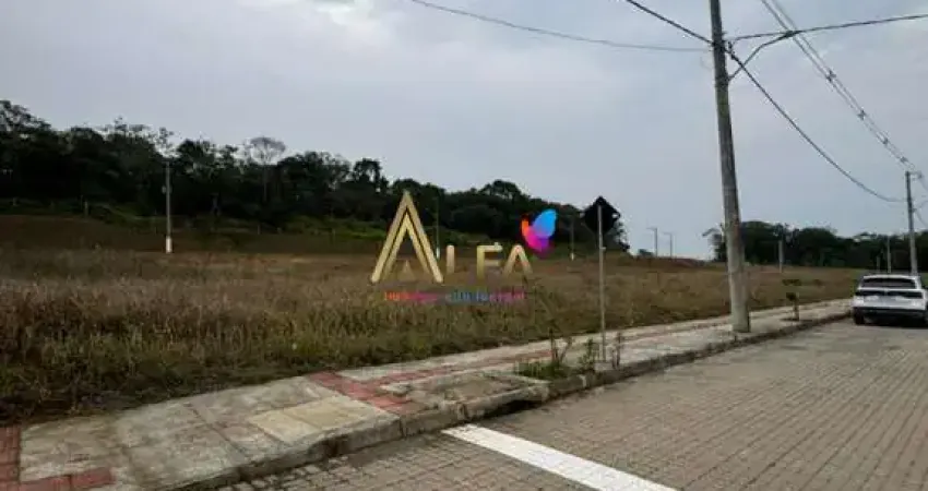 Terreno à venda, 300 m² por R$ 270.000,00 - Morro Alto - Balneário Piçarras/SC