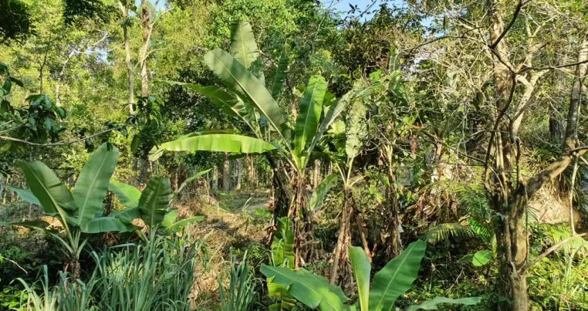 Chácara / sítio à venda na Estrada Cristóvão Machado de Campos, Vargem Grande, Florianópolis