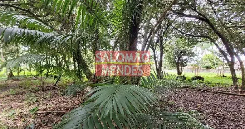 Terreno à venda/locação 35000M², Rodovia do Tapanã px a Augusto Mointeegro