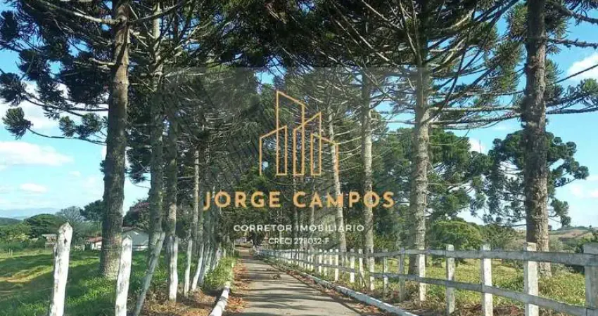 Fazenda à venda na Zona Rural, Minduri 
