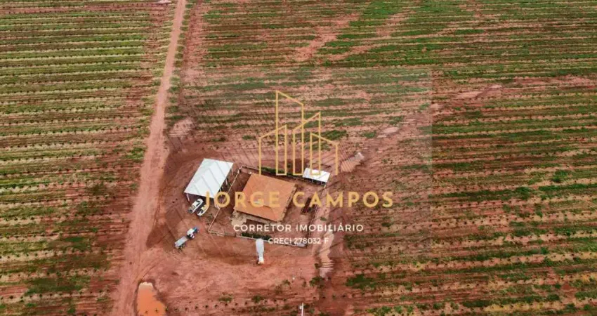 Chácara / sítio com 3 quartos à venda na Zona Rural, Campina Verde