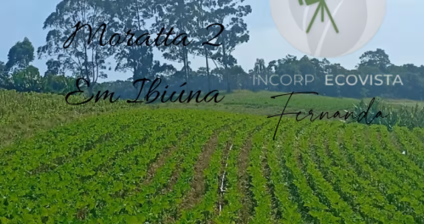 Terrenos em Ibiúna/SP com lazer, infraestrutura e preço promocional – Moratta II
