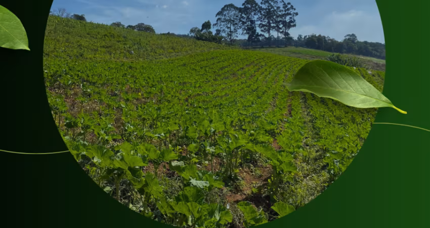Terrenos em Ibiuna-SP