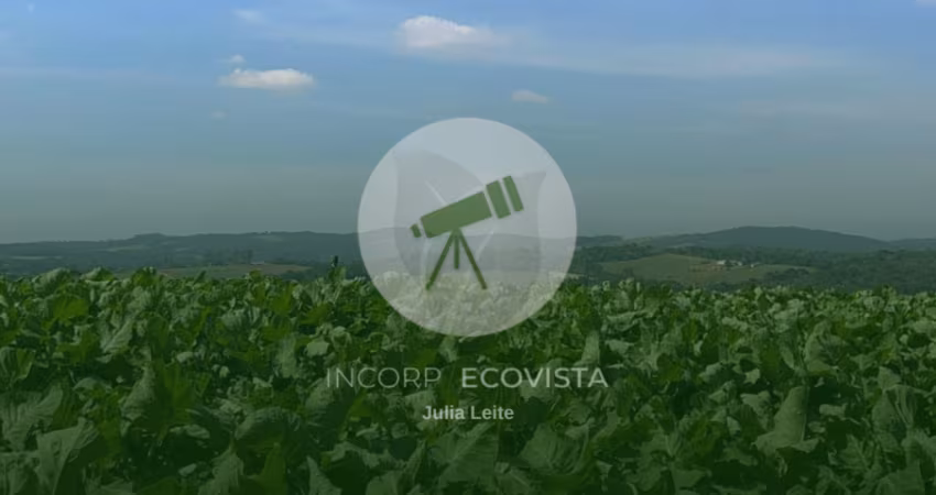 Lotes à venda em Ibiúna com 500m² a 300 metros da via asfaltada