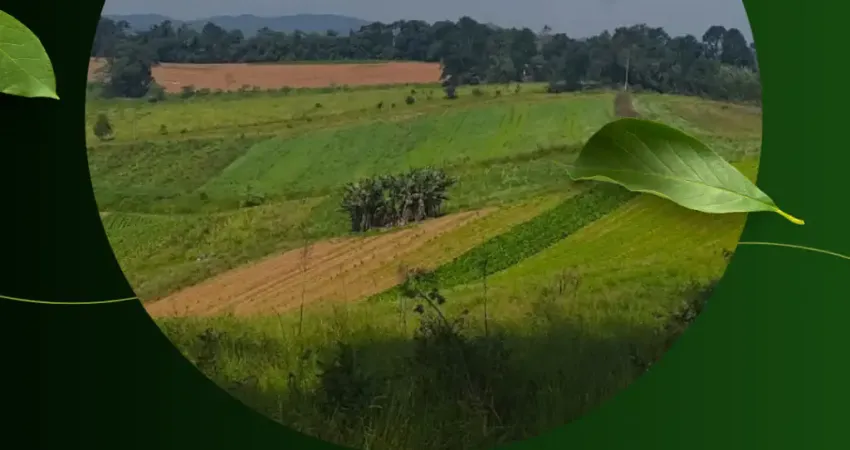 Terrenos no Piaí em Ibiúna – 500m² com fácil acesso
