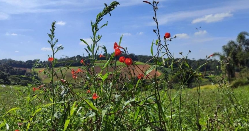 Lotes em Ibiúna/SP a partir de 500m² – Moratta II Localização: