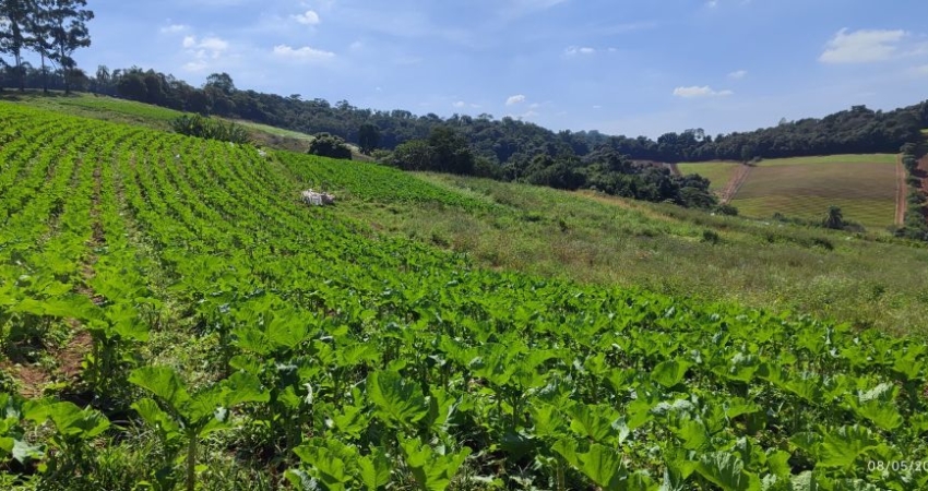 Terrenos com portaria inteligente e muito verde por valor especial!