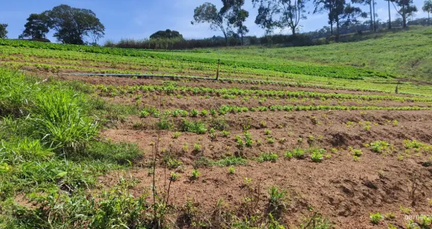 Moratta II: aproveite o valor de lançamento antes do reajuste!