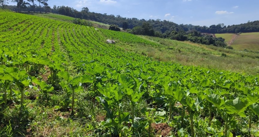 Garanta seu lote em Ibiúna antes que dobre de valor!