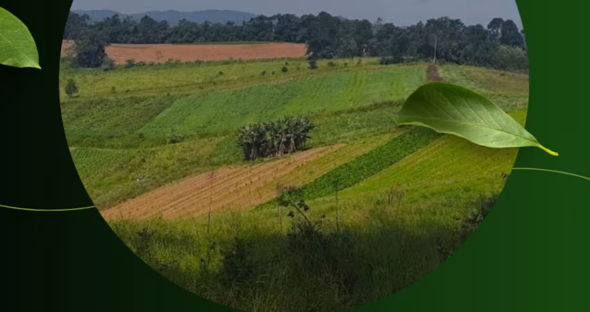 Construa Sua Casa em Ibiúna! Lotes Disponíveis