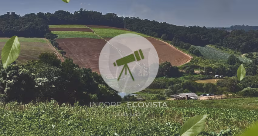 Oportunidade em Ibiúna – terrenos de 500m² a 300m da via asfaltada